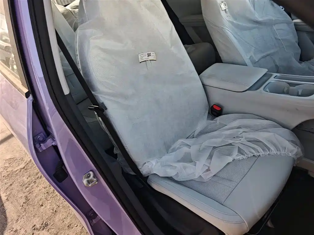 Geely Galaxy Starry Wish 2026 Edition 310km Youth Version фото 25