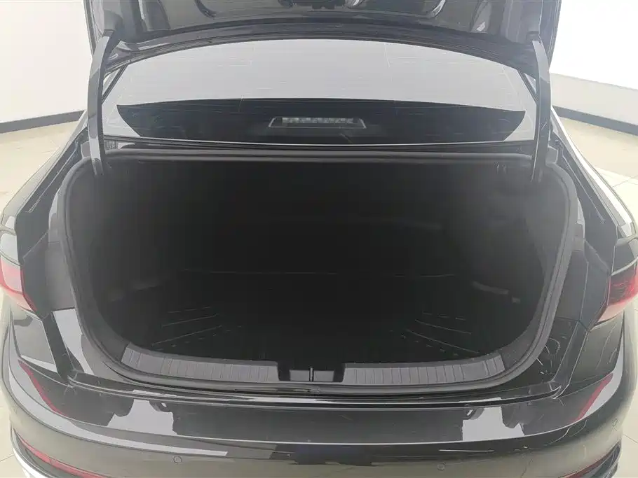 Volkswagen Sagitar 2024 300TSI DSG Surpass Edition фото 4