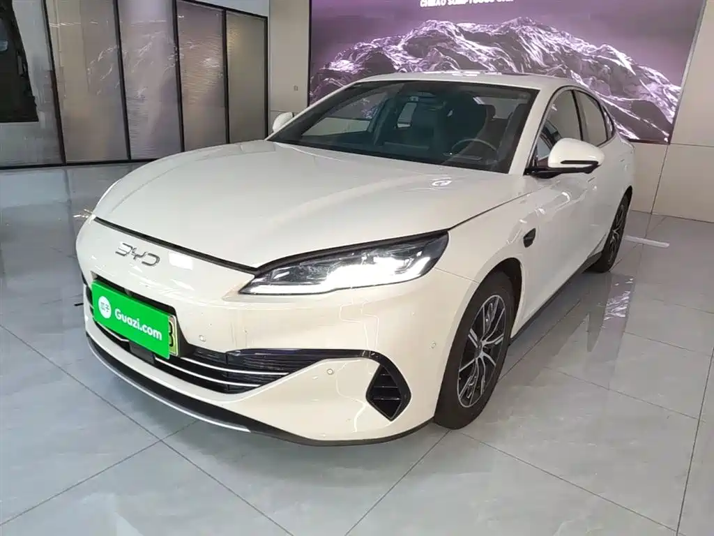 BYD Seal 06 New Energy 2025 DM-i Smart Drive Edition 120KM Luxury фото 2