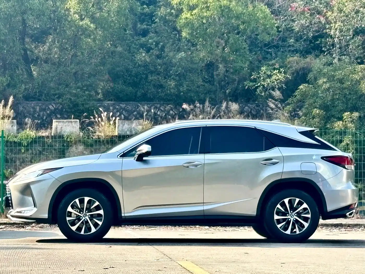 Lexus RX 2020 Facelift 300 2WD Comfort Edition фото 4