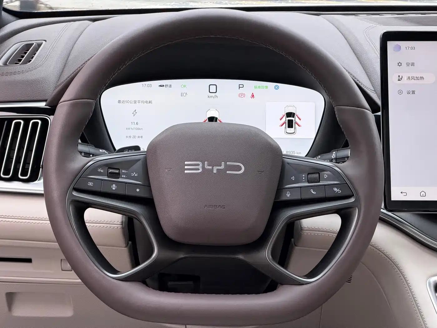 BYD SONGJIANG NEW ENERGY