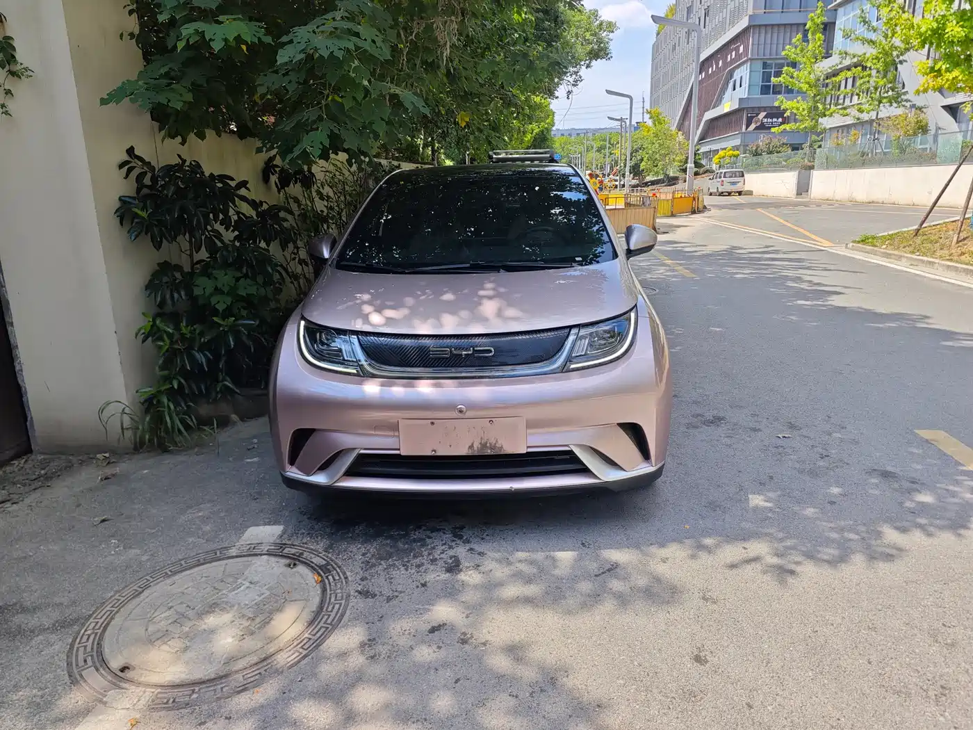 BYD Dolphin 2021 2021 Model 405km Fashion Edition