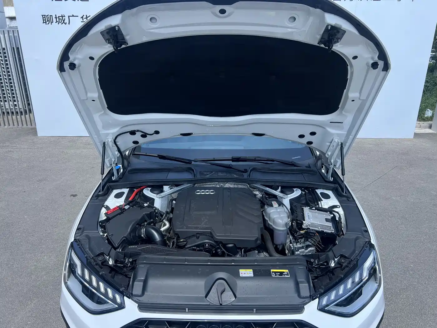 Audi A4L 2024 40 TFSI Luxury Dynamic фото 11