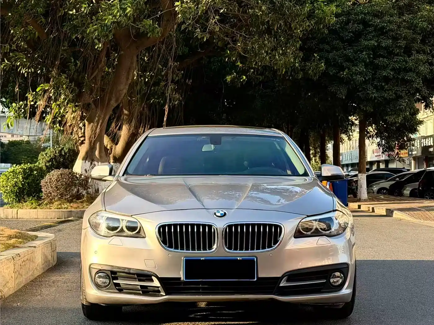 BMW 5 Series 2014 525Li Leading
