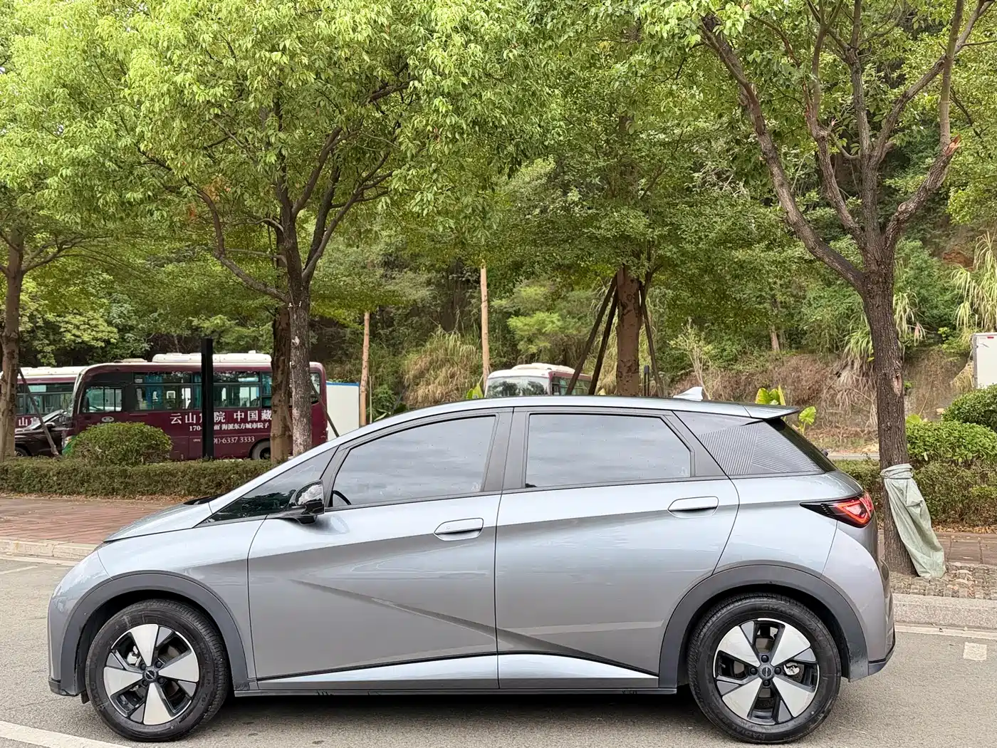 BYD Dolphin 2023 420km Fashion Edition фото 13