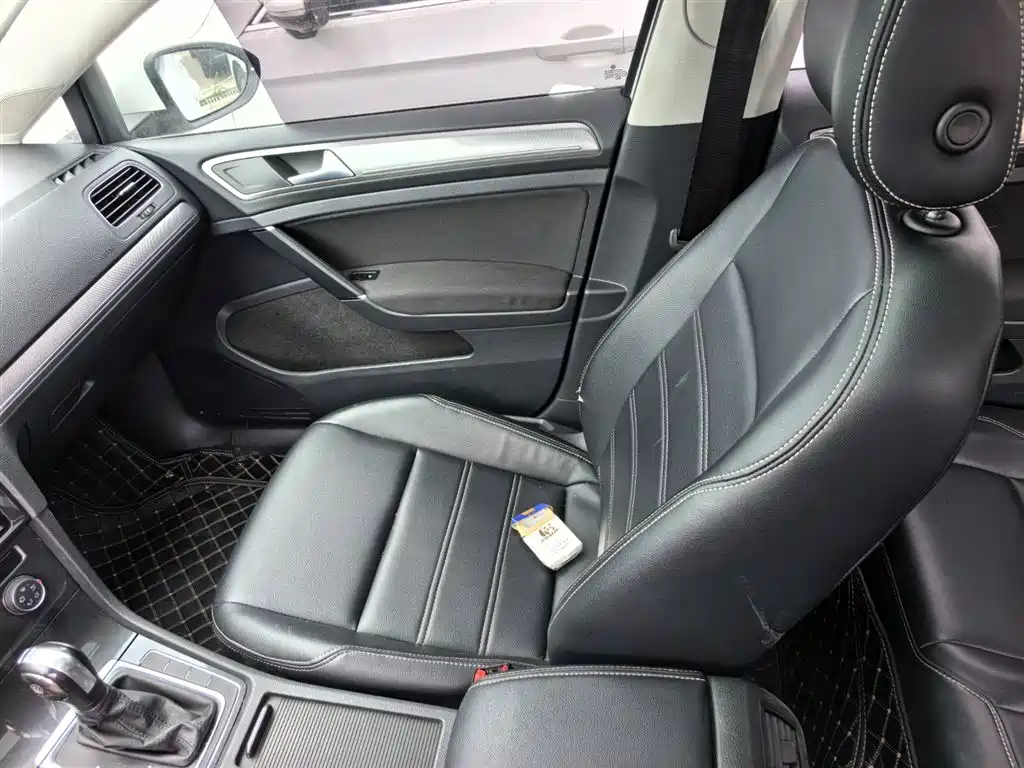Volkswagen Golf 2019 200TSI DSG Comfort Progressive China VI фото 11