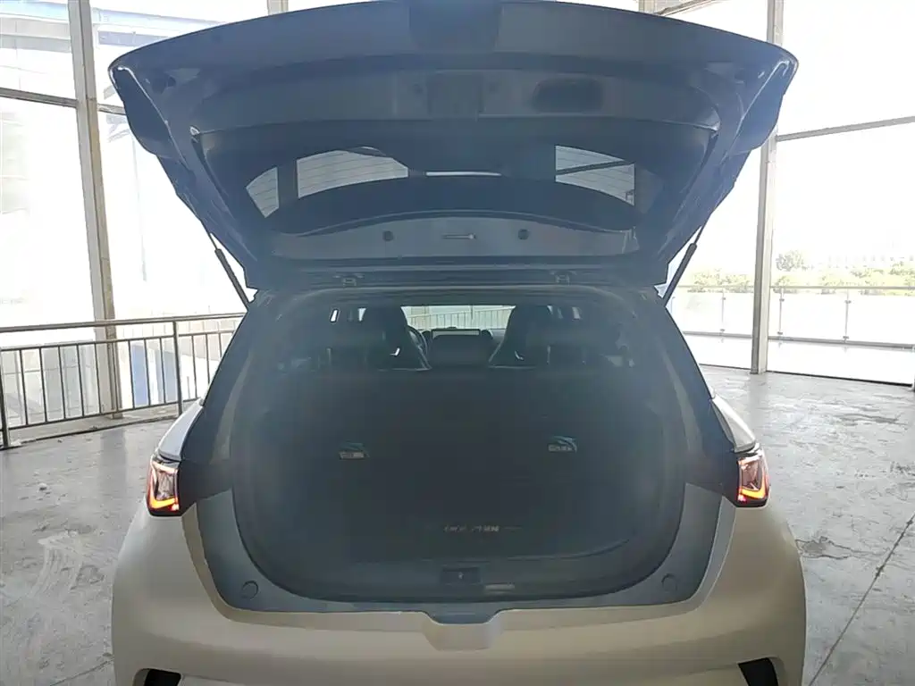 BYD Dolphin 2024 Glory Edition 420km Fashion Edition фото 15