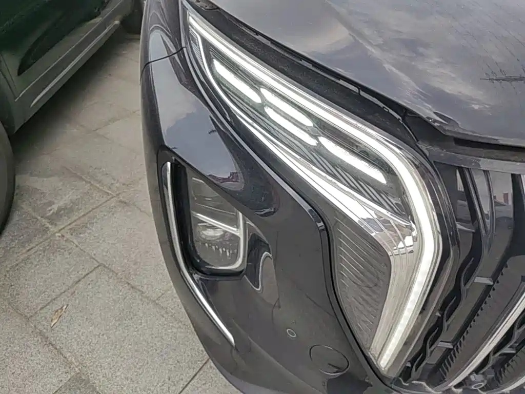 Photo 10 - Hongqi HS7 PHEV