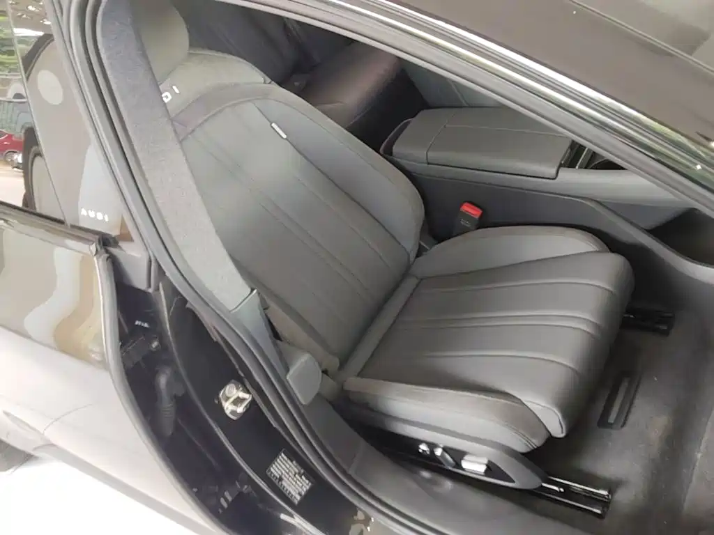 صورة 25 - Audi E5 Sportback