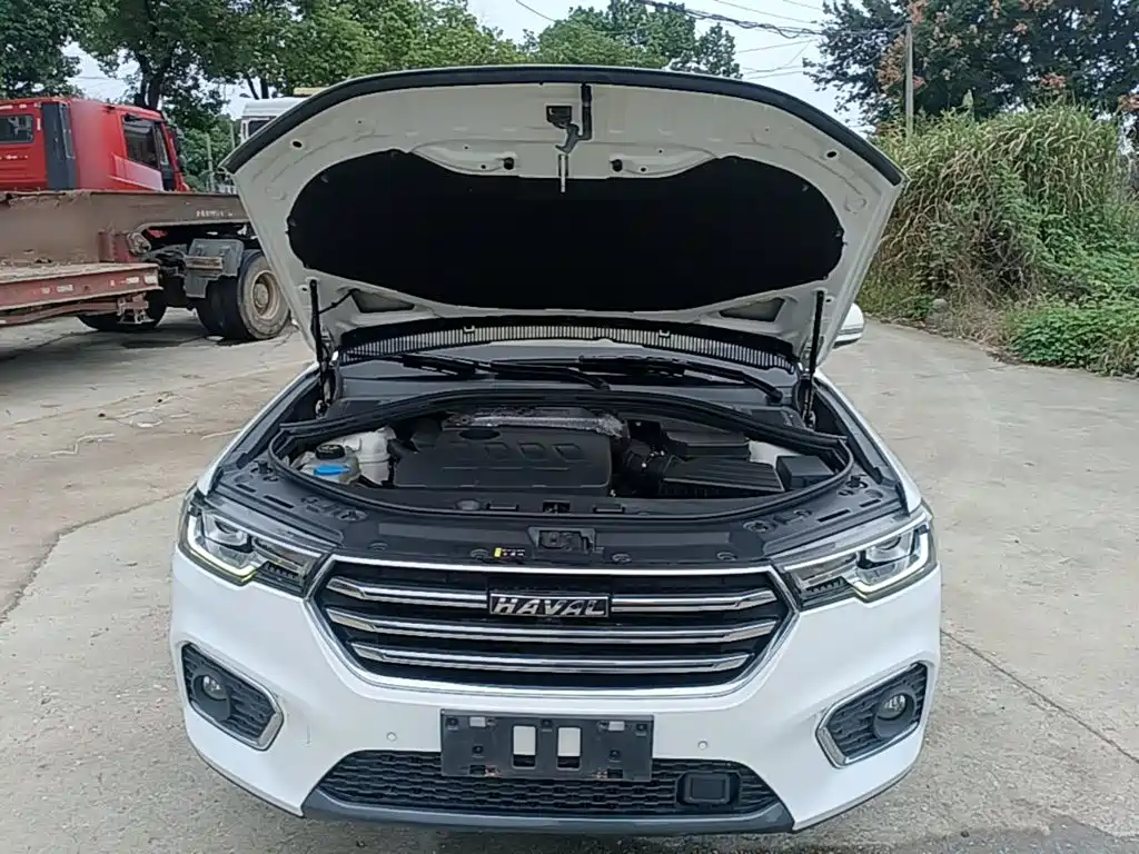 Haval H7 2019 2019 2.0T ZhiXiang (China VI)