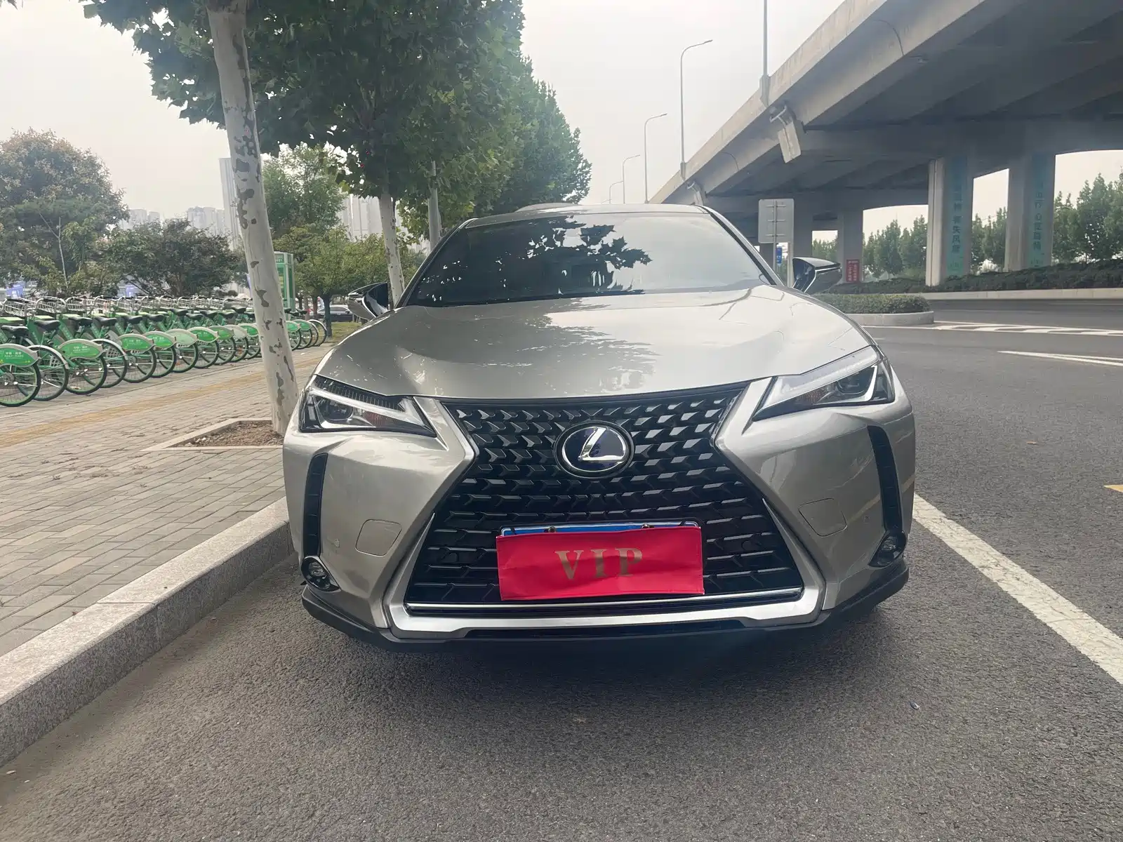 Фото 1 - Lexus UX