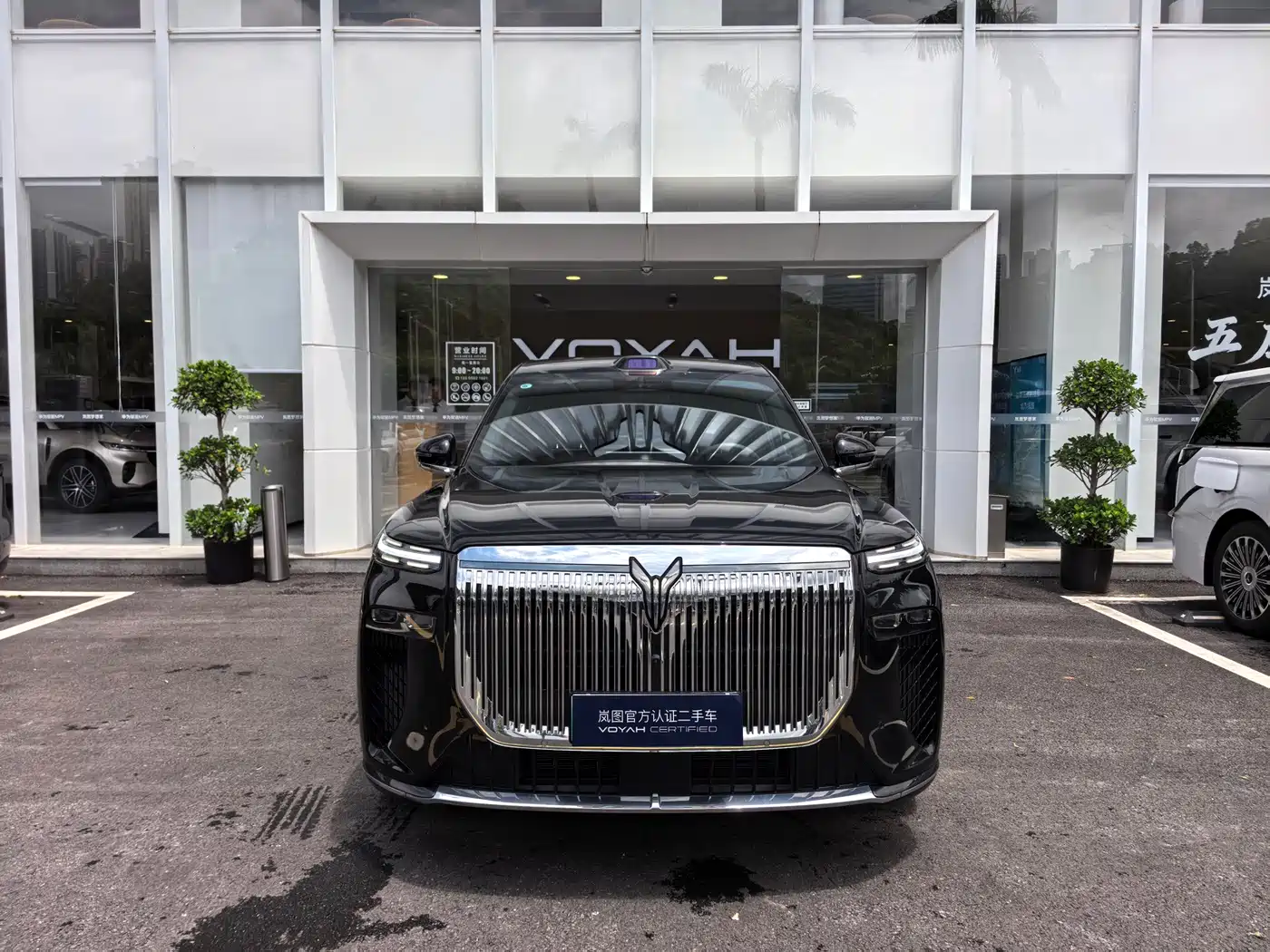 Voyah Auto VOYAH Taisan 2025 2026 Model Base
