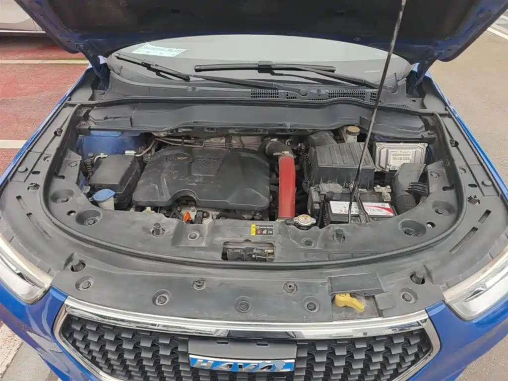 Haval H2 2017 Blue Label 1.5T Automatic 2WD Luxury фото 20
