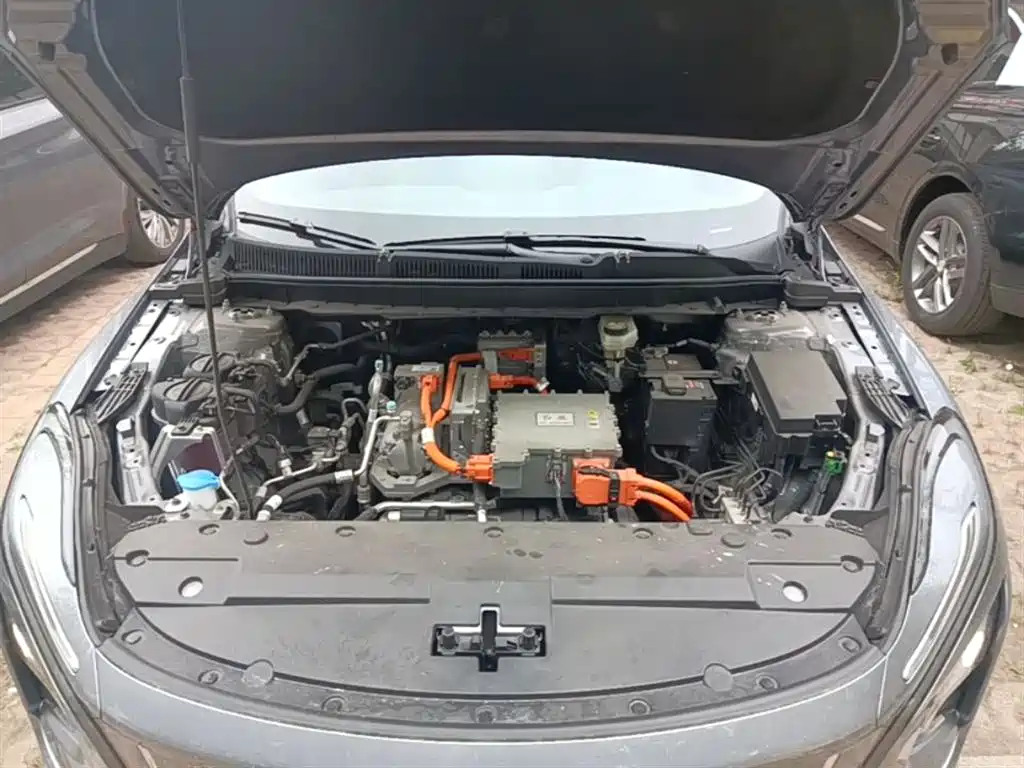 Hongqi E-QM5 2024 Model 610km PLUS фото 20