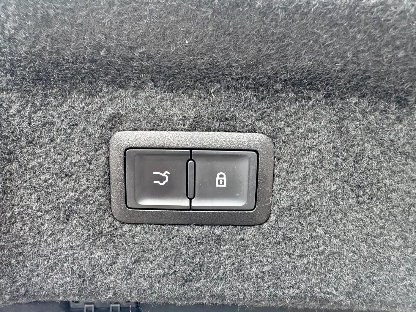 Hongqi H9 2022 2.0T Smart Connect Flag Smooth Edition фото 14