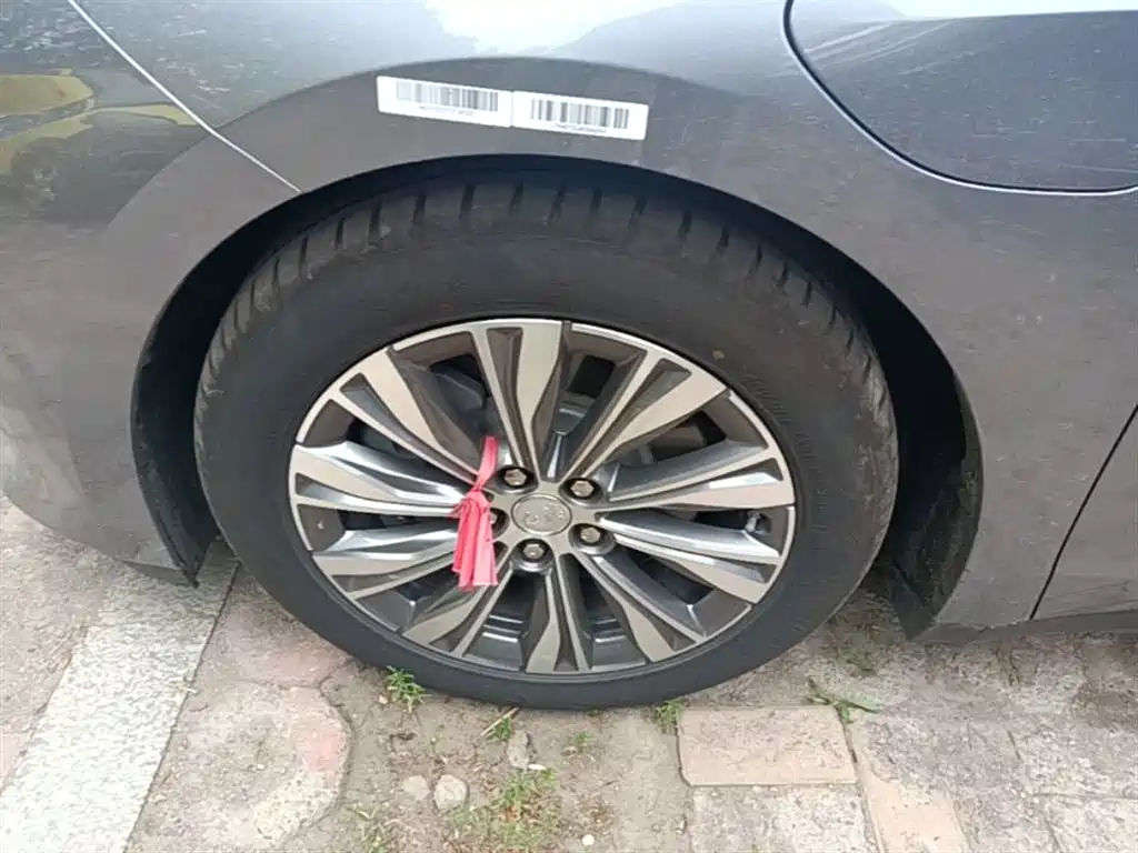 Hongqi E-QM5 2024 Model 610km PLUS фото 23