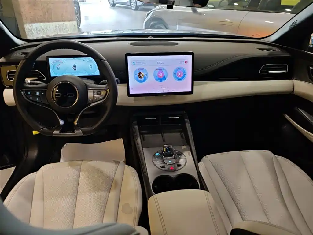 BYD Seal 06 New Energy 2024 DM-i 80KM Prestige фото 10