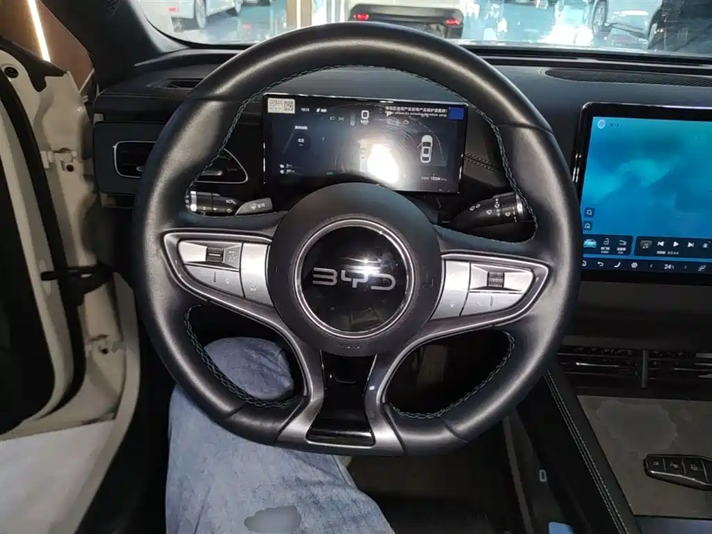 BYD Seal 06 New Energy 2025 DM-i Smart Drive Edition 120KM Luxury фото 11