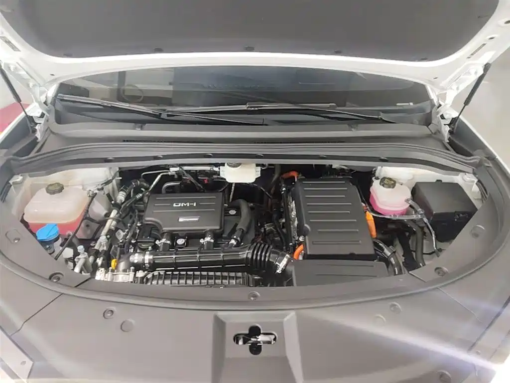 BYD Song L DM-i 2025 Smart Drive Edition 112km Surpassing фото 20
