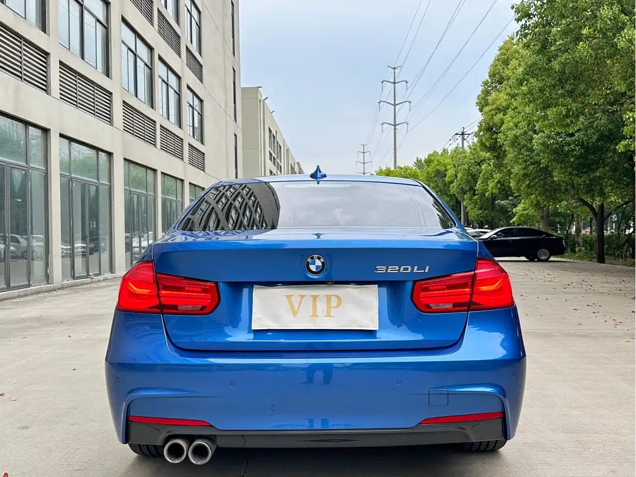 BMW 3 Series 2019 320Li M Sport Package фото 14