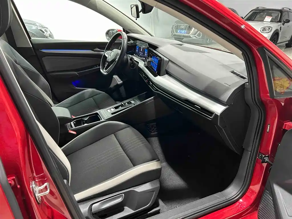 Volkswagen Golf 2021 280TSI DSG 30th Anniversary Edition фото 13