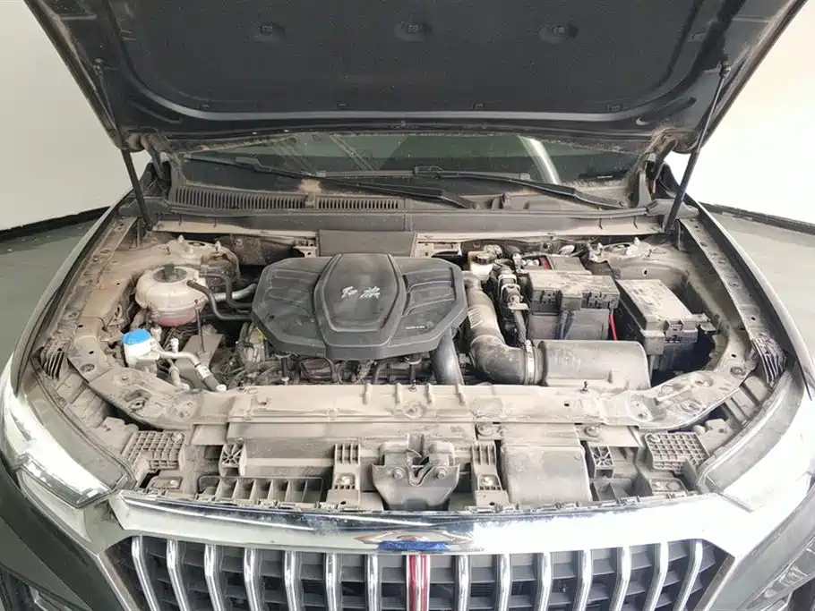 Hongqi HS5 2019 2.0T Smart Connect Enjoy Edition фото 10