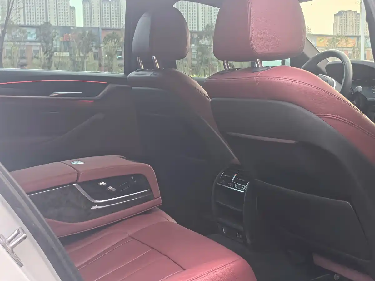 BMW 5 Series 2020 530Li Leading M Sport Package фото 12