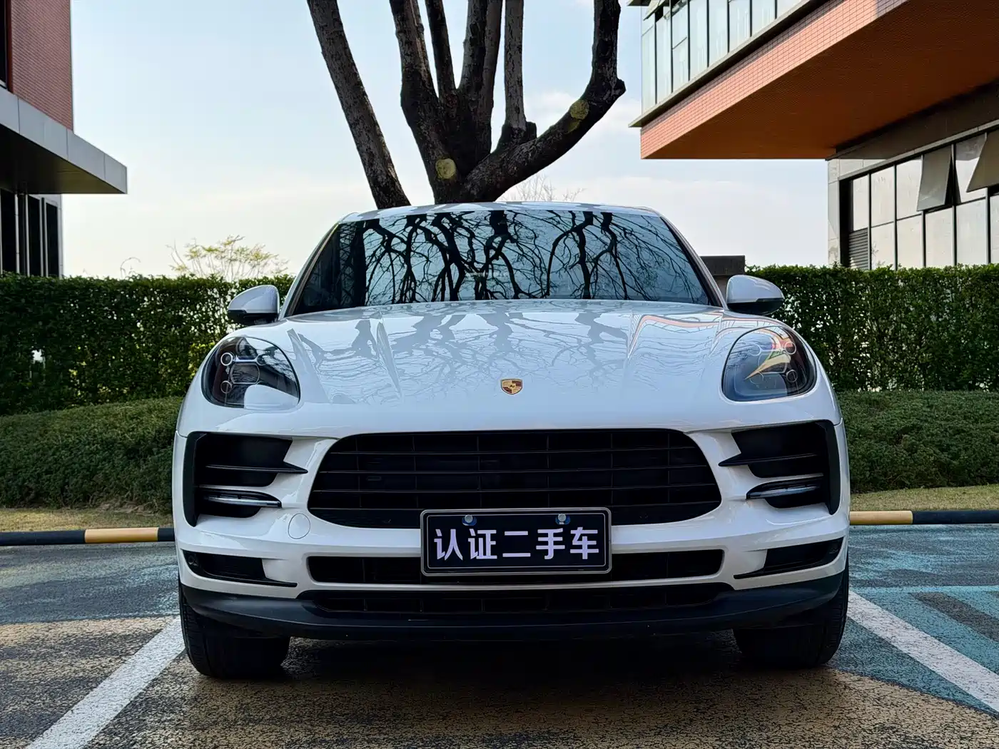Porsche Macan 2020 Macan 2.0T фото 2