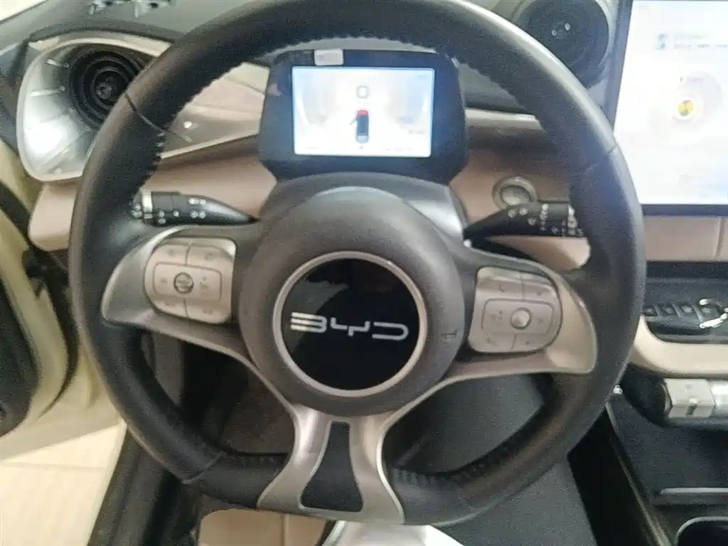 BYD Dolphin 2023 420km Fashion Edition фото 11