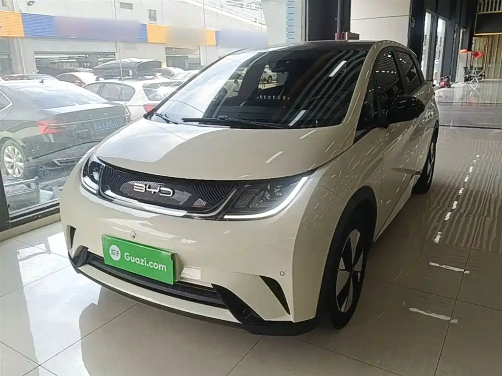 BYD Dolphin 2023 420km Fashion Edition фото 2