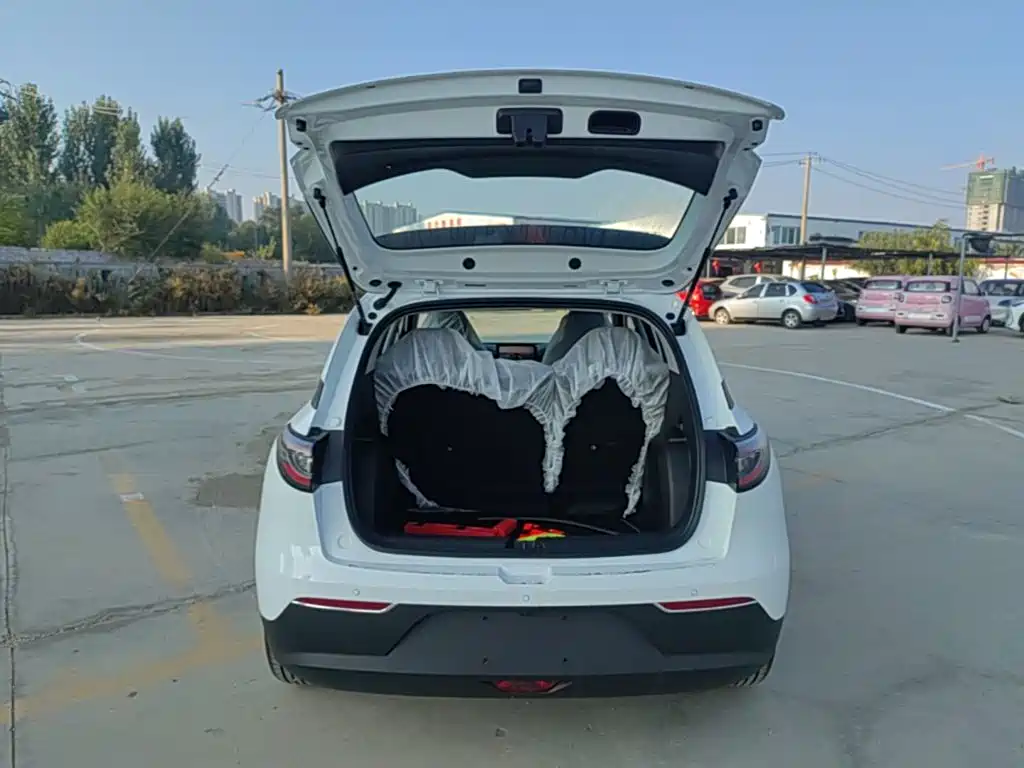 Geely Galaxy Starry Wish 2026 2026 Edition 310km Youth Version