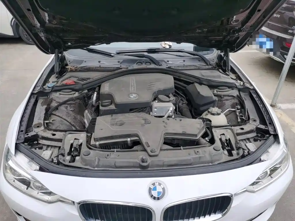 BMW 3 Series 2016 320Li Progressive фото 20