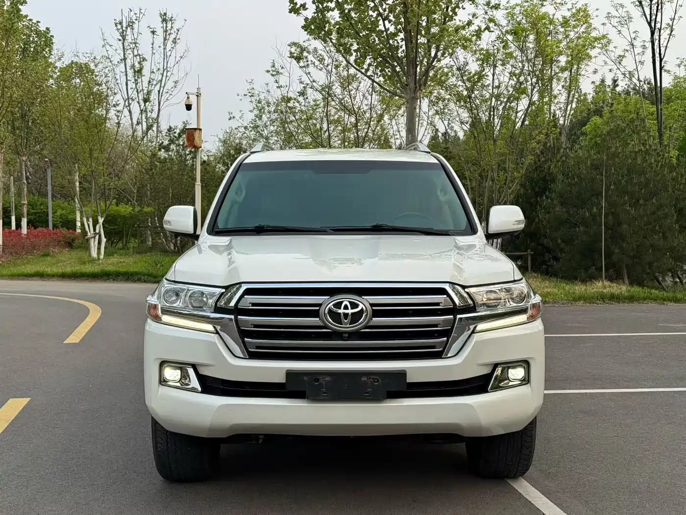 Toyota Land Cruiser (Import)