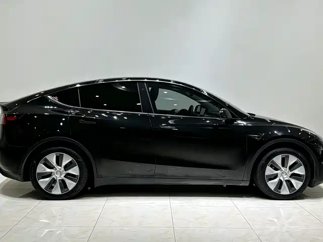 Tesla Model Y 2022 Facelift Rear-Wheel Drive Version — фото 4