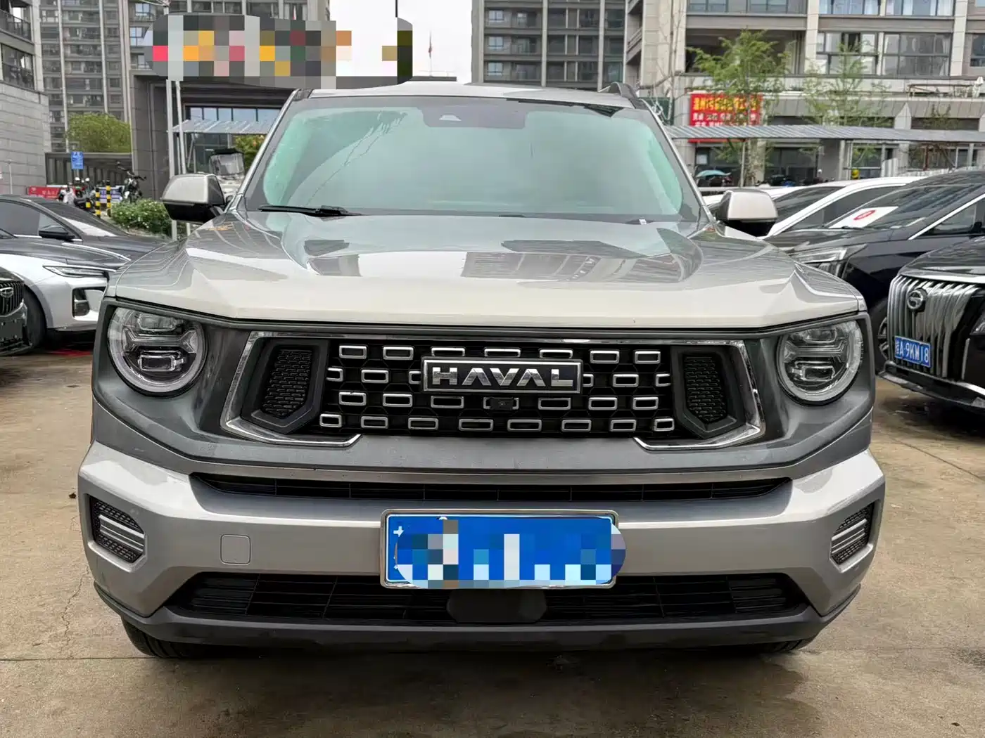 HAVAL BIG DOG
