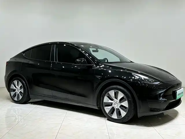 Tesla Model Y 2022 Facelift Rear-Wheel Drive Version — фото 3