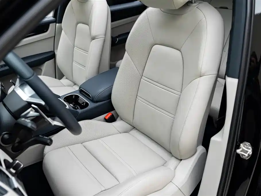 Porsche Cayenne 2022 Cayenne 3.0T Platinum Edition фото 10