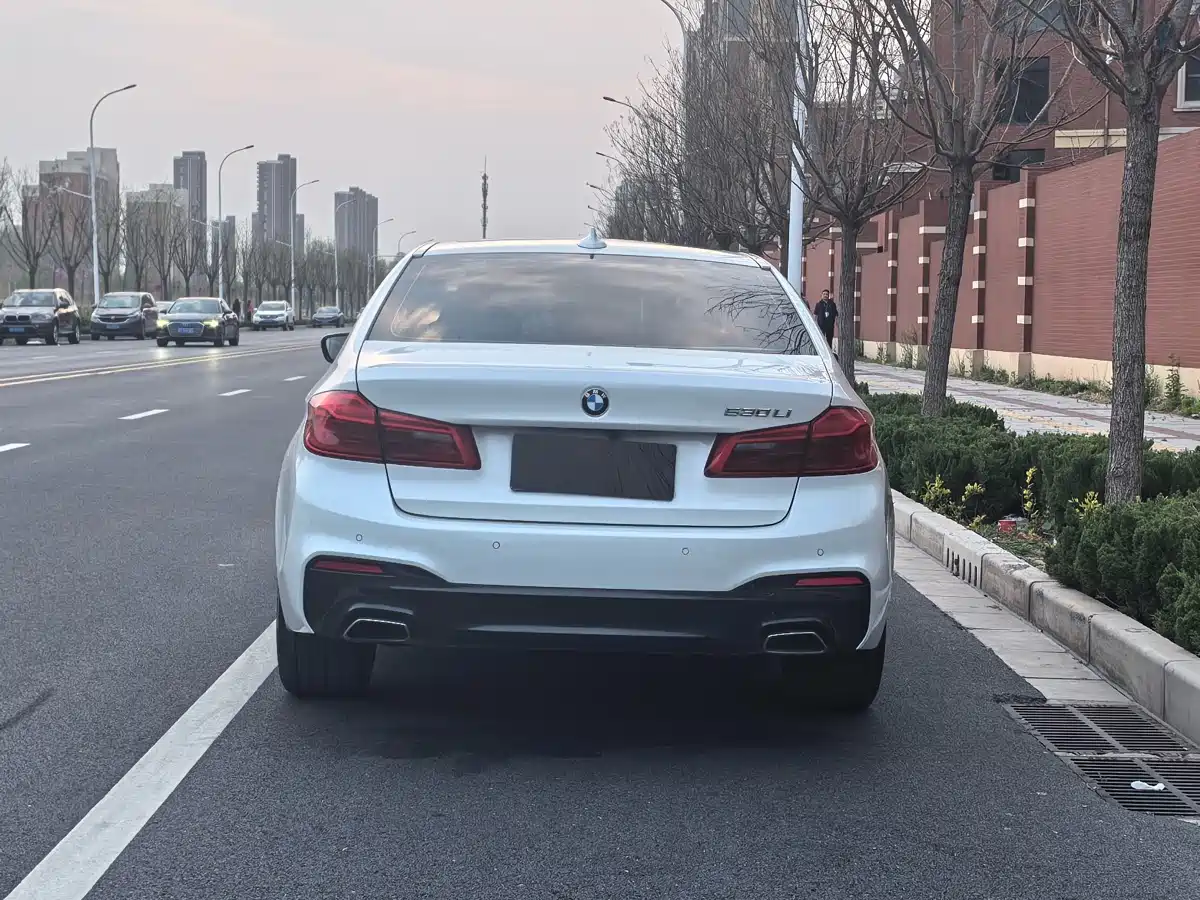 BMW 5 Series 2020 530Li Leading M Sport Package фото 20