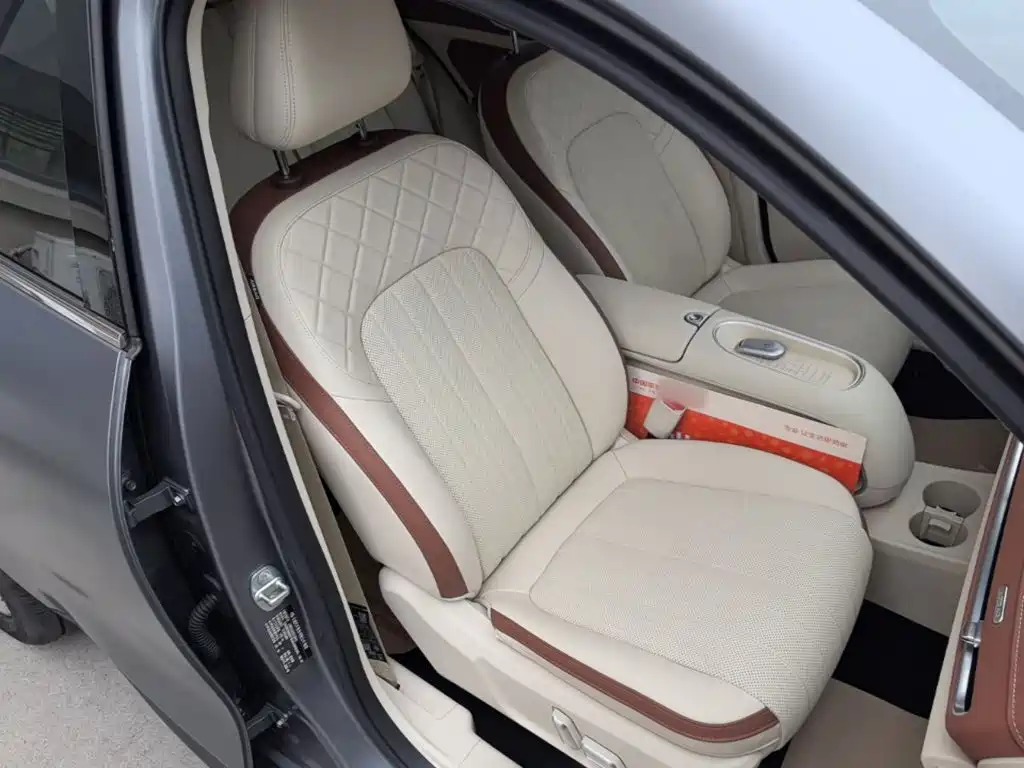Ora Good Cat 2025 2025 430km Honor Edition