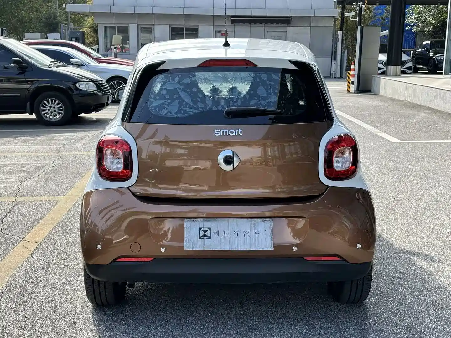 Фото 5 - smart forfour