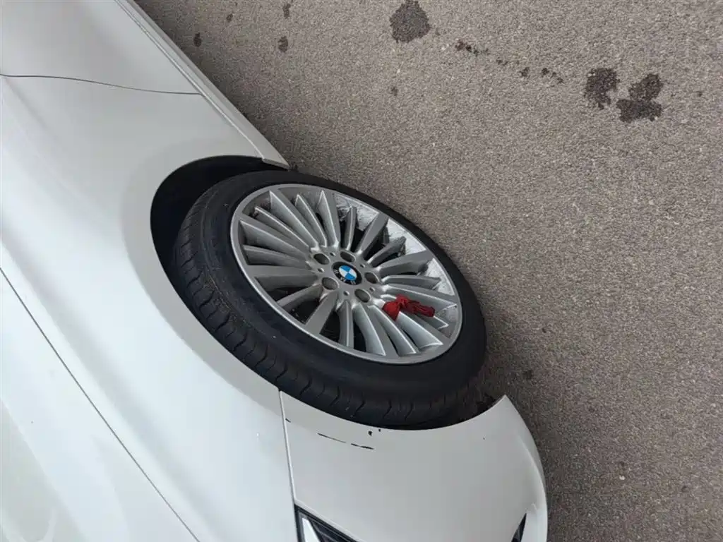 BMW 3 Series 2018 320Li Fashion Style фото 23