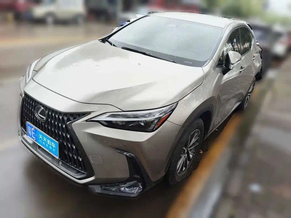 2024 Lexus NX