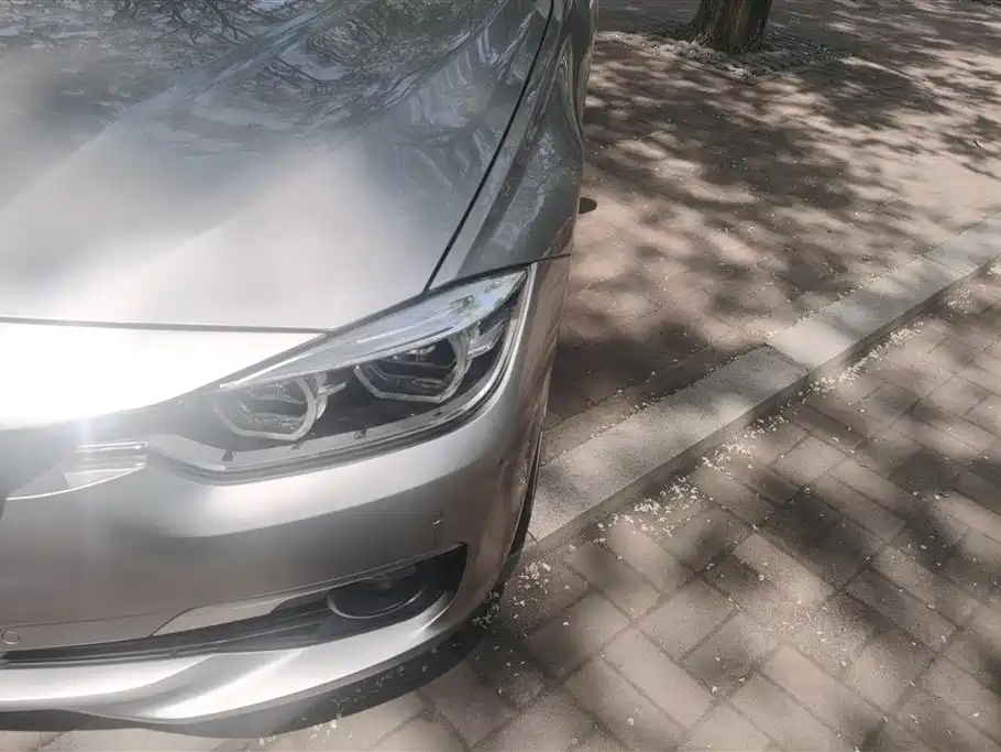 BMW 3 Series 2018 320Li Fashion Style фото 5