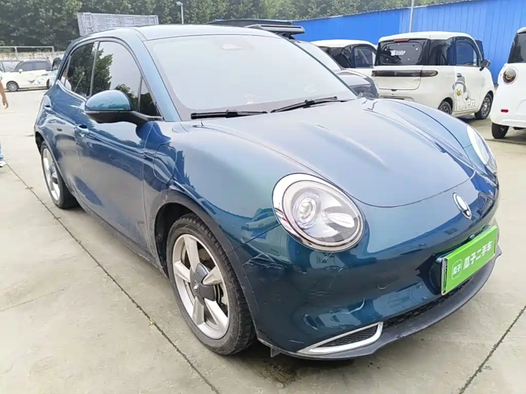 Ora Good Cat 2024 2023 401km Standard Range Luxury LFP