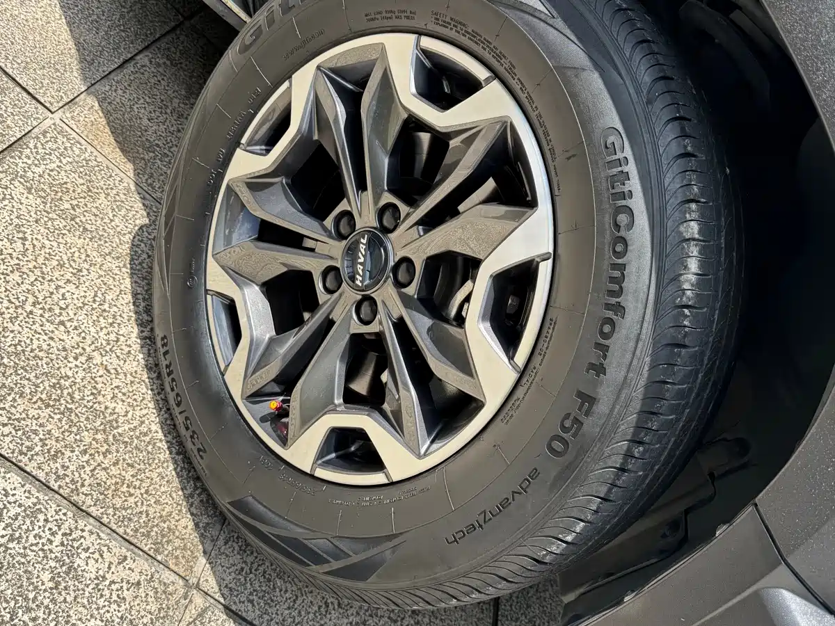 Haval Big Dog 2021 2.0T DCT 4WD Chinese Rural Dog Edition фото 20