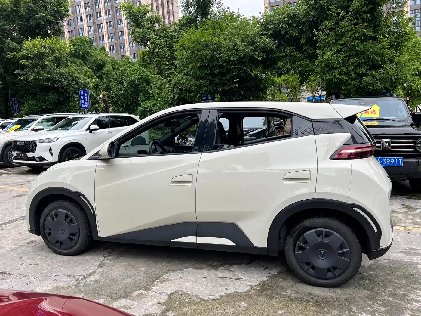 BYD Seagull 2024 Glory Edition 305km Vitality Edition фото 6