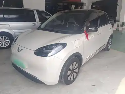 Wuling Bingo