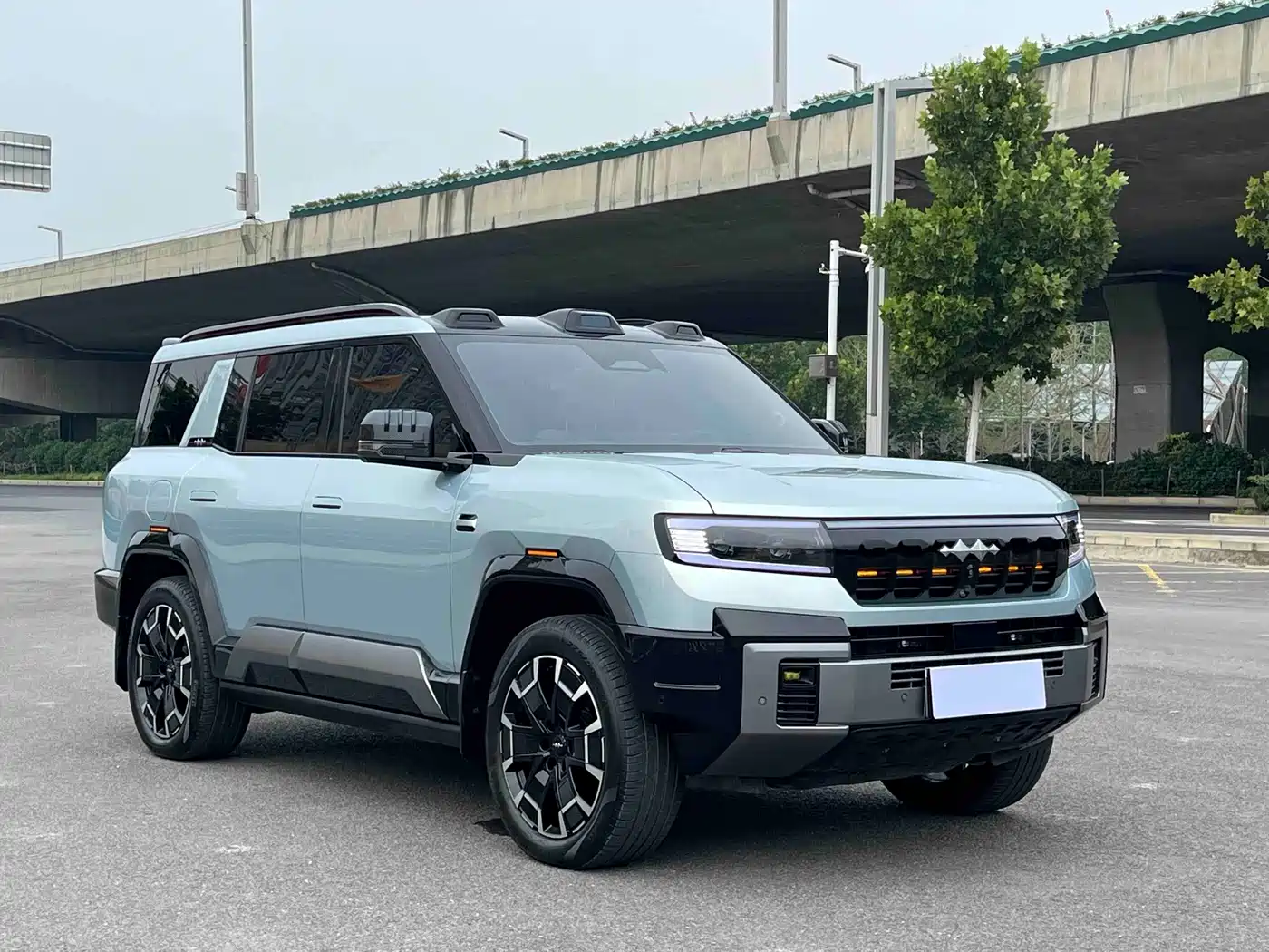 Fang Cheng Bao Leopard 8 2024 2025 Zhiyong Flagship 7-Seater