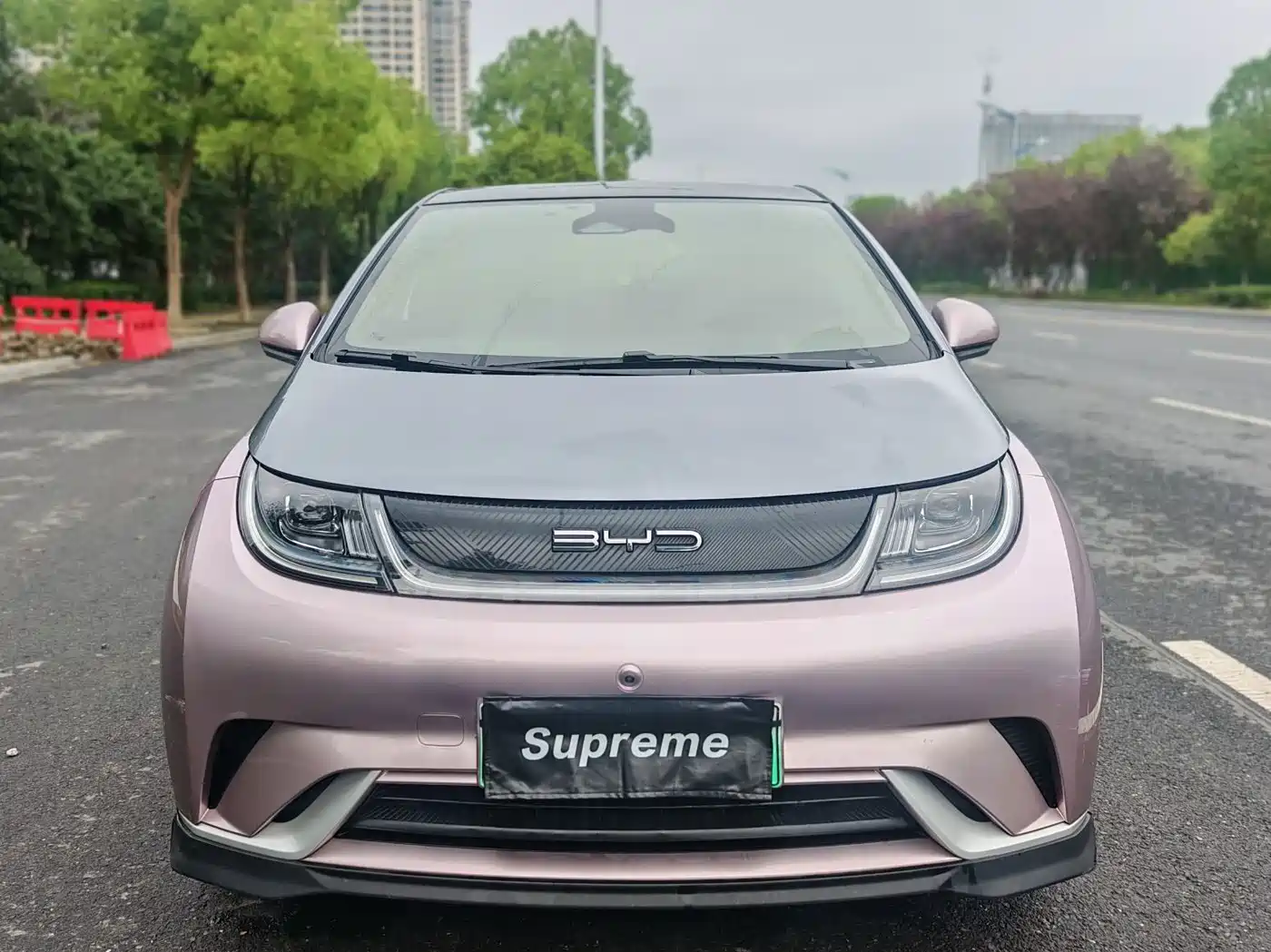 BYD Dolphin 2022 2021 401km Knight Edition