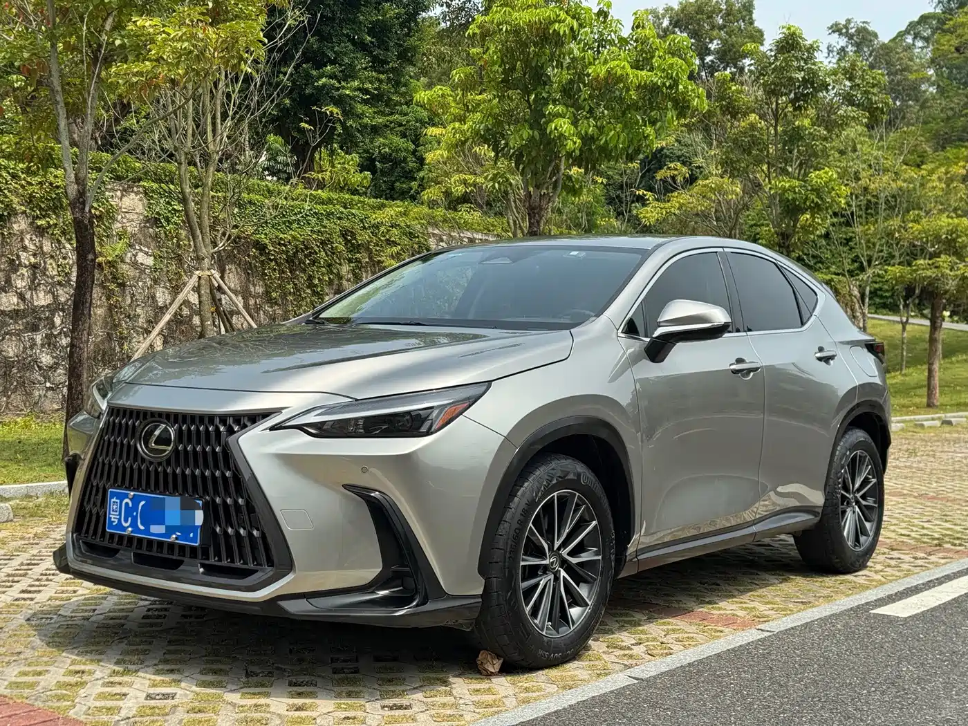 صورة 1 - Lexus NX